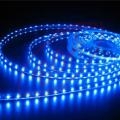 5m 60LED/m IP20 3,6W/m LED ps modr